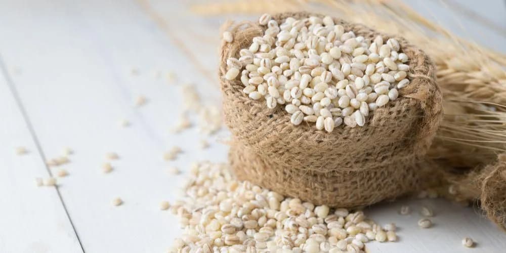 Barley kanggé ibu nyusoni