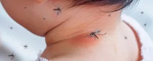 Malaria pada Bayi Gejala Cara Mencegah dan Mengobati