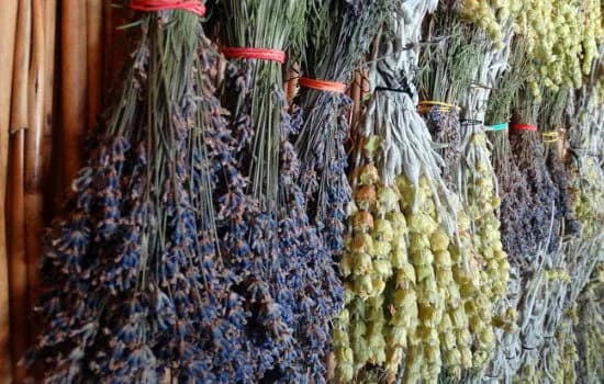 obat nyamuk alami yang aman untuk bayi