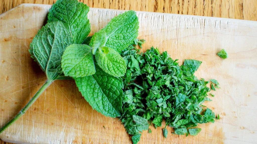 7. Daun mint