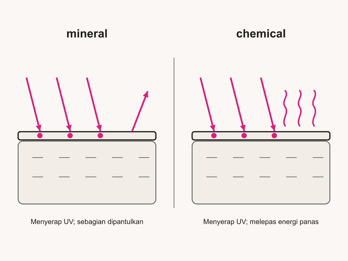 Keduanya menyerap UV dalam lapisan pelindung di permukaan kulit. Mineral juga memantulkan sebagian sinar. Skema tidak menunjukkan chemical harus masuk jauh ke kulit.